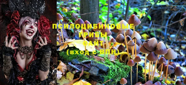 трава Абдулино