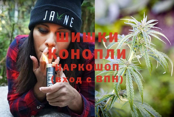индика Наволоки