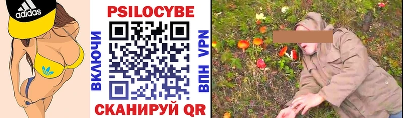дарк нет формула  Суджа  Псилоцибиновые грибы Cubensis 